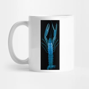 Langoustine, X-ray (Z220/0125) Mug